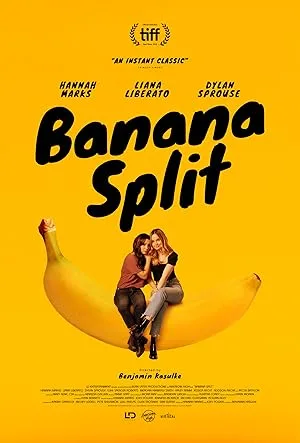 Mükemmel Arkadaşlık film afişi
