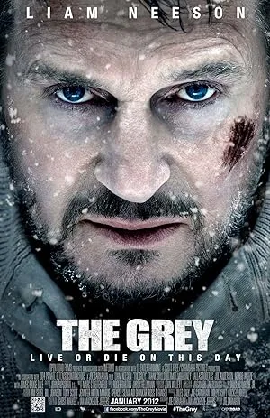 Gri Kurt film afişi