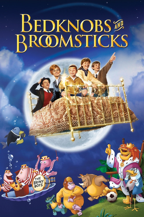 Sihirli Formül film afişi