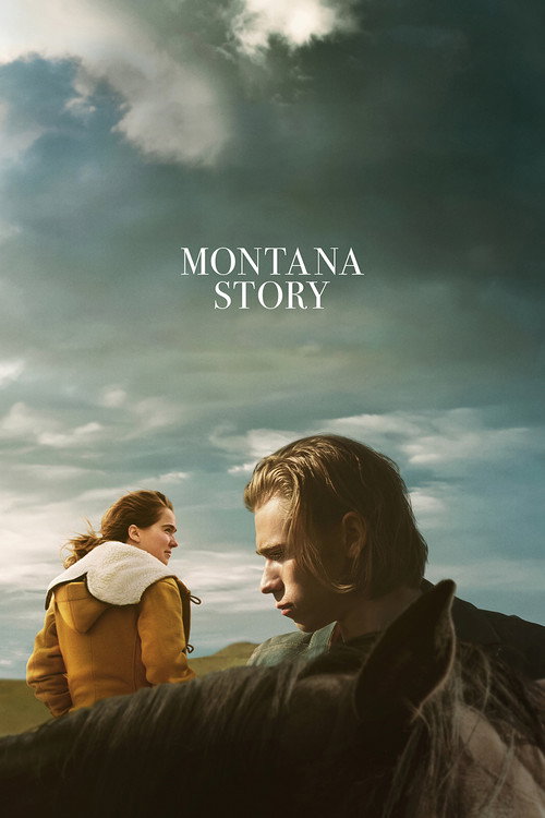 Montana Story film afişi