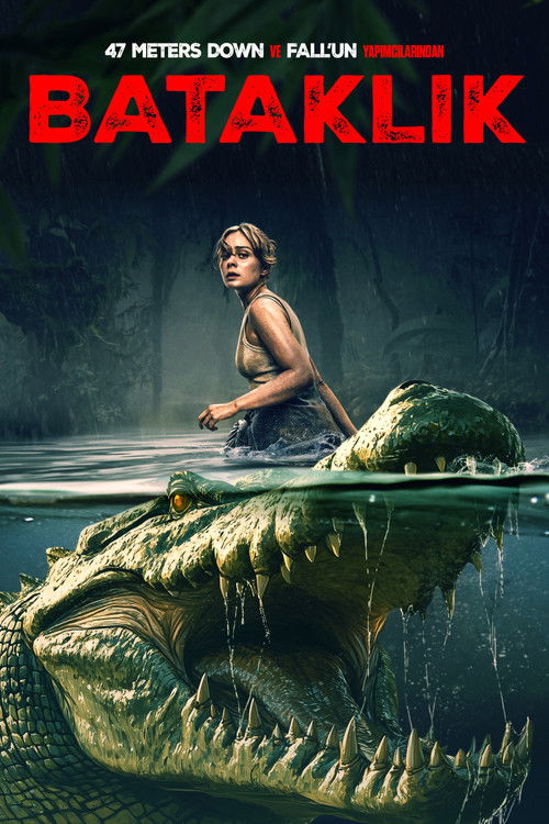 The Bayou film afişi