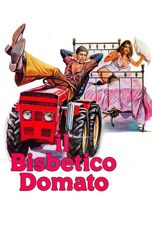 Il bisbetico domato film afişi