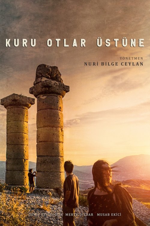 About Dry Grasses film afişi