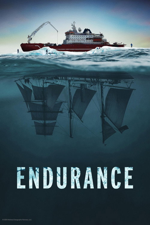 Endurance film afişi