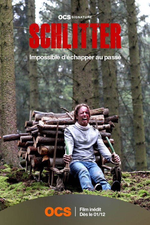 Schlitter film afişi