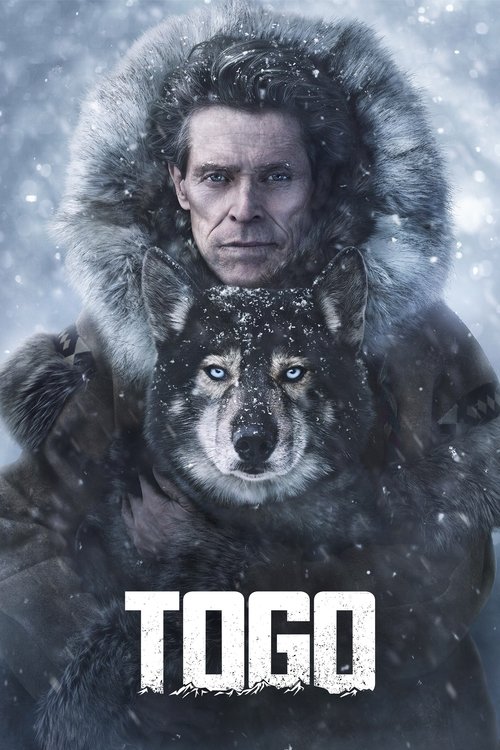 Togo film afişi