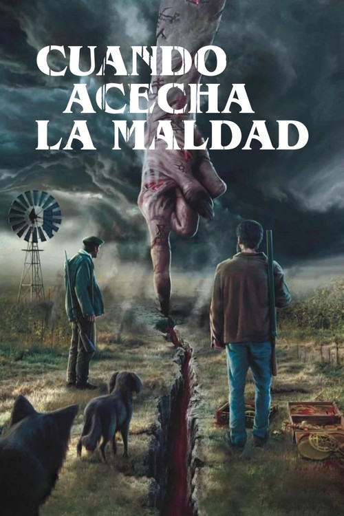 Cuando acecha la maldad film afişi