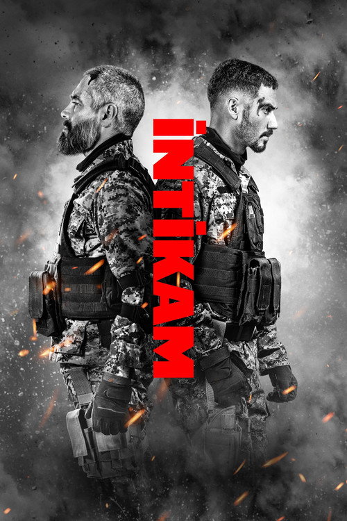 Venganza film afişi