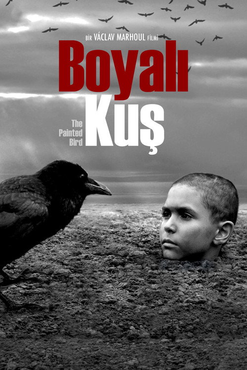 The Painted Bird film afişi