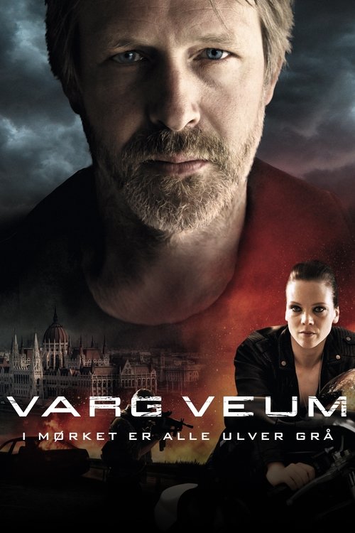 Varg Veum - I mørket er alle ulver grå film afişi