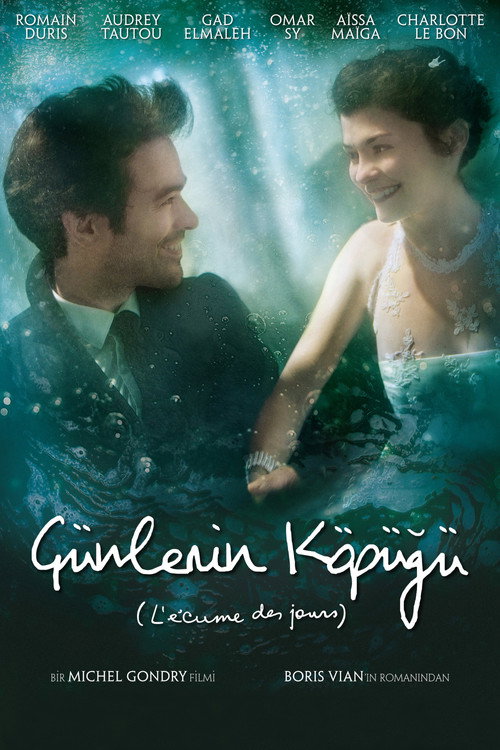 Günlerin Köpüğü film afişi