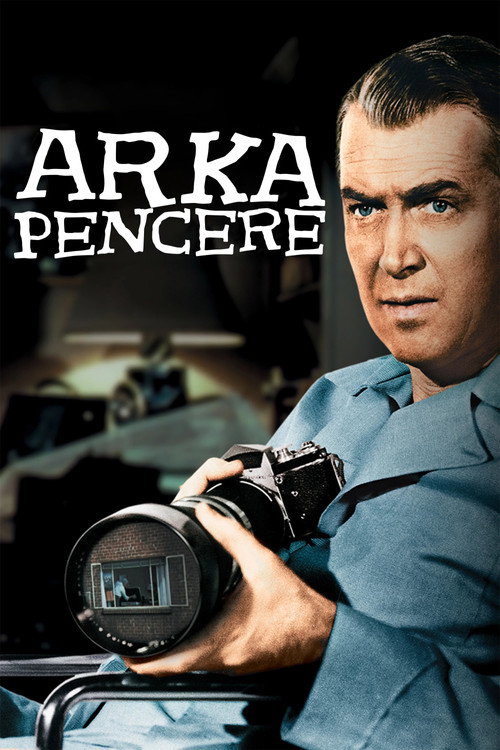 Arka Pencere film afişi