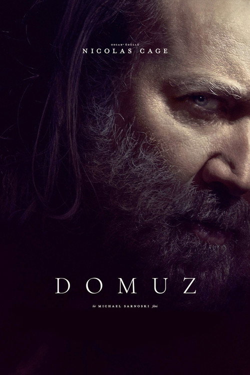 Domuz film afişi
