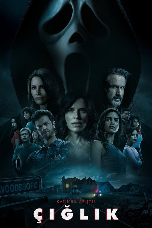 Scream film afişi