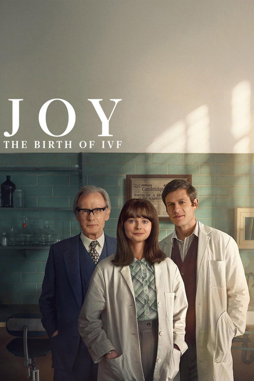 JOY film afişi