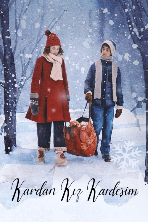 The Snow Sister film afişi