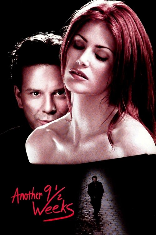 Another 9 1/2 Weeks film afişi