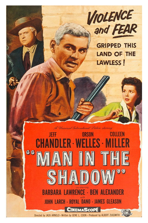 Man in the Shadow film afişi