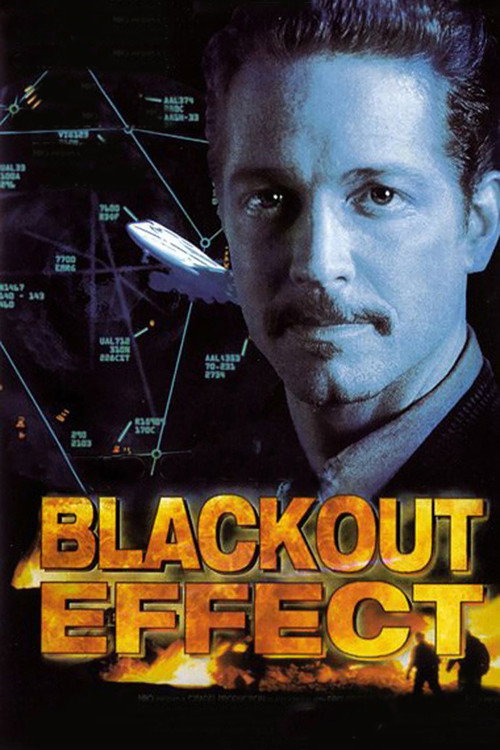 Blackout Effect film afişi
