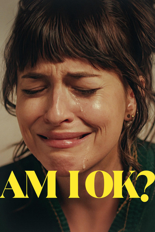 Am I OK? film afişi