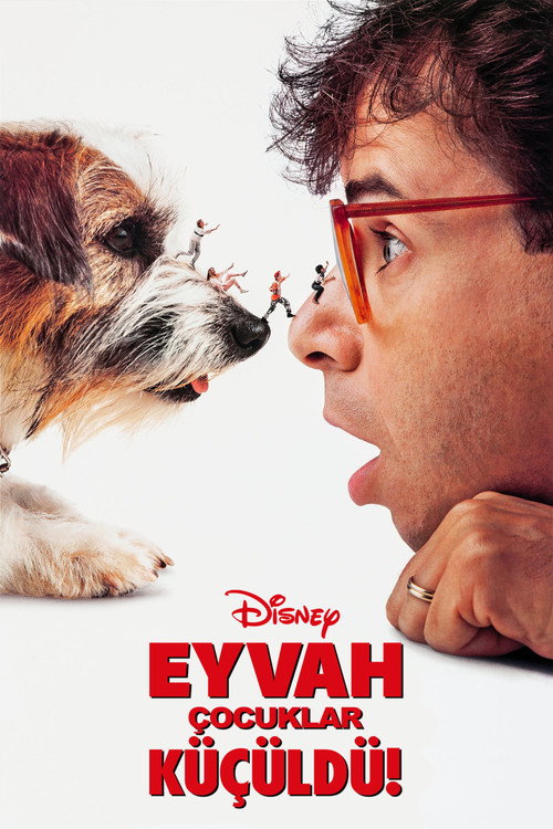 Honey, I Shrunk the Kids film afişi