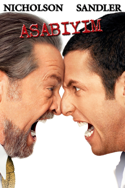 Anger Management film afişi