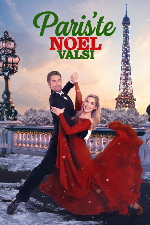 Paris Christmas Waltz film afişi