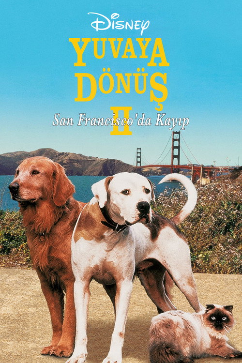 Homeward Bound II: Lost in San Francisco film afişi