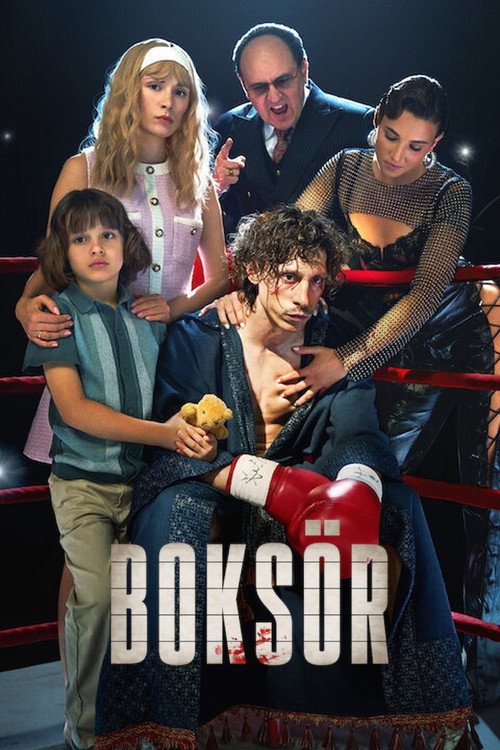 Boxer film afişi