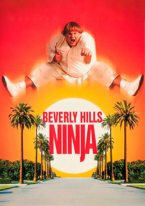 Beverly Hills Ninja film afişi
